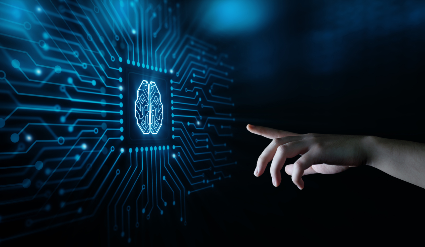Viz  AI